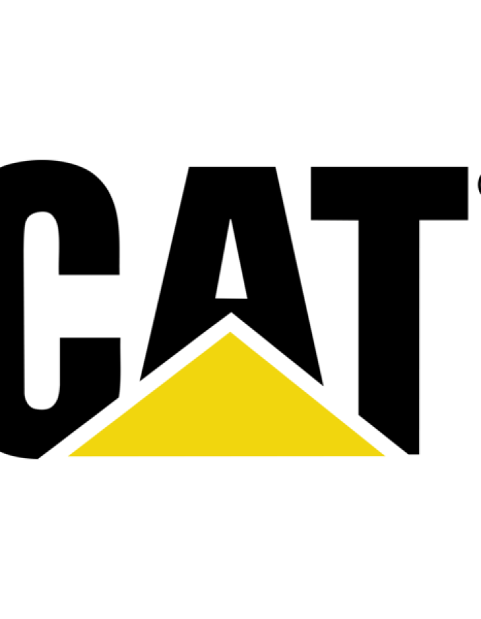 cat-logo